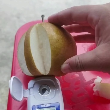 金秋梨，冰糖柚雪峰柚小苦柚，冰糖橙，