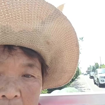 冬瓜