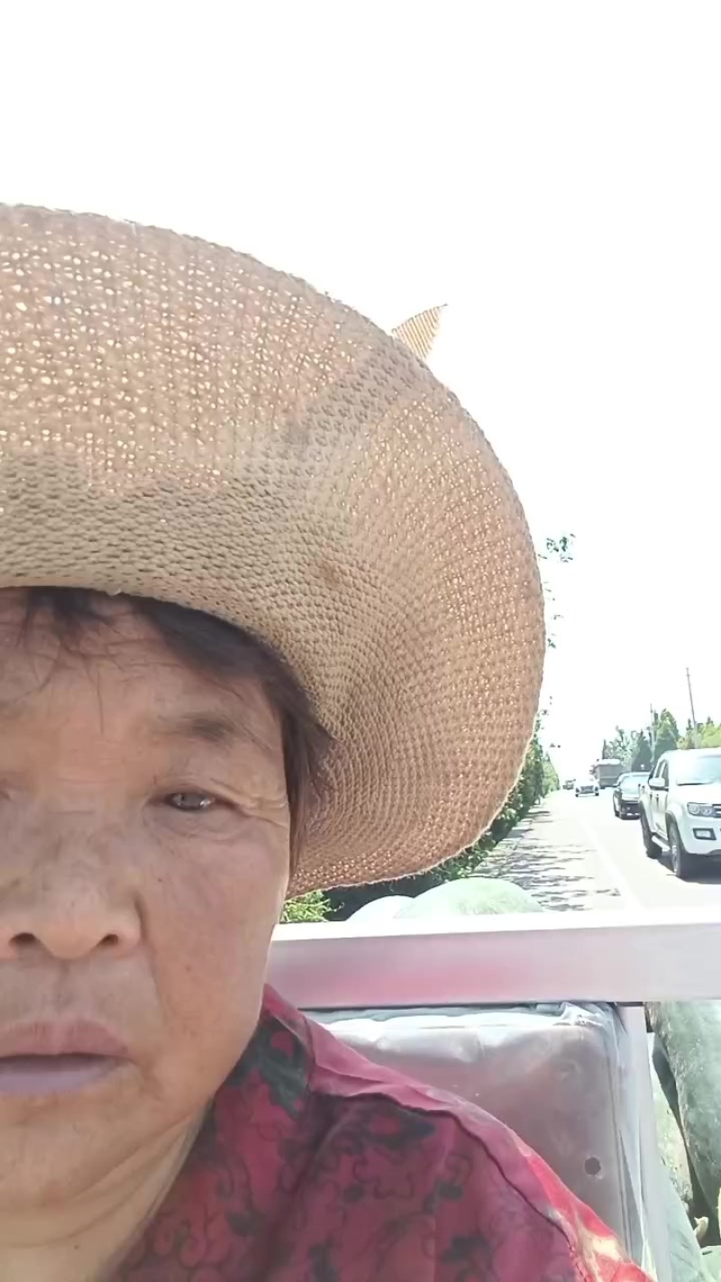 冬瓜