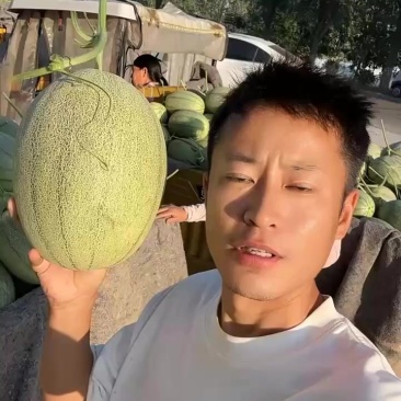 哈密瓜晓蜜25