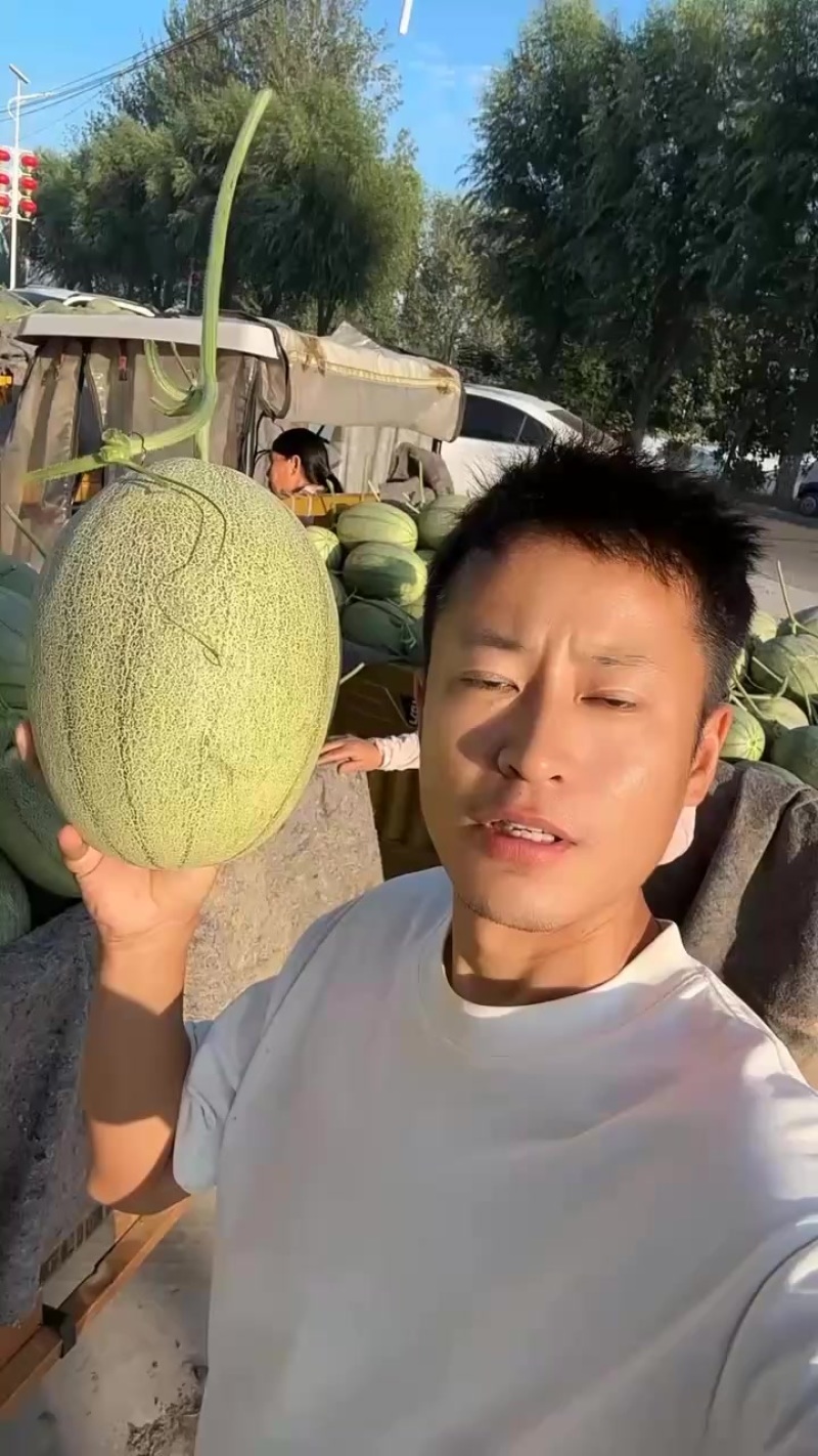 哈密瓜晓蜜25