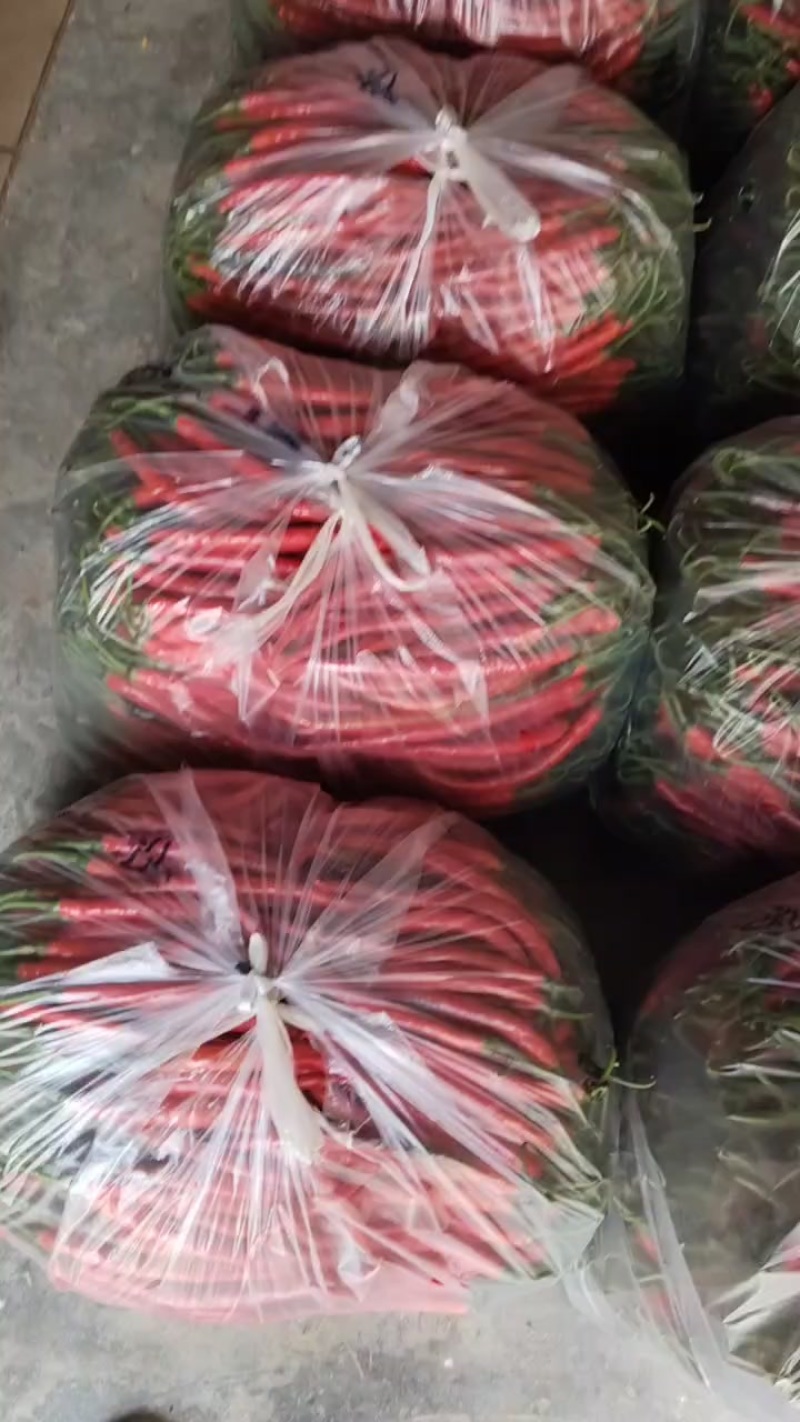 精品红线椒，一级货