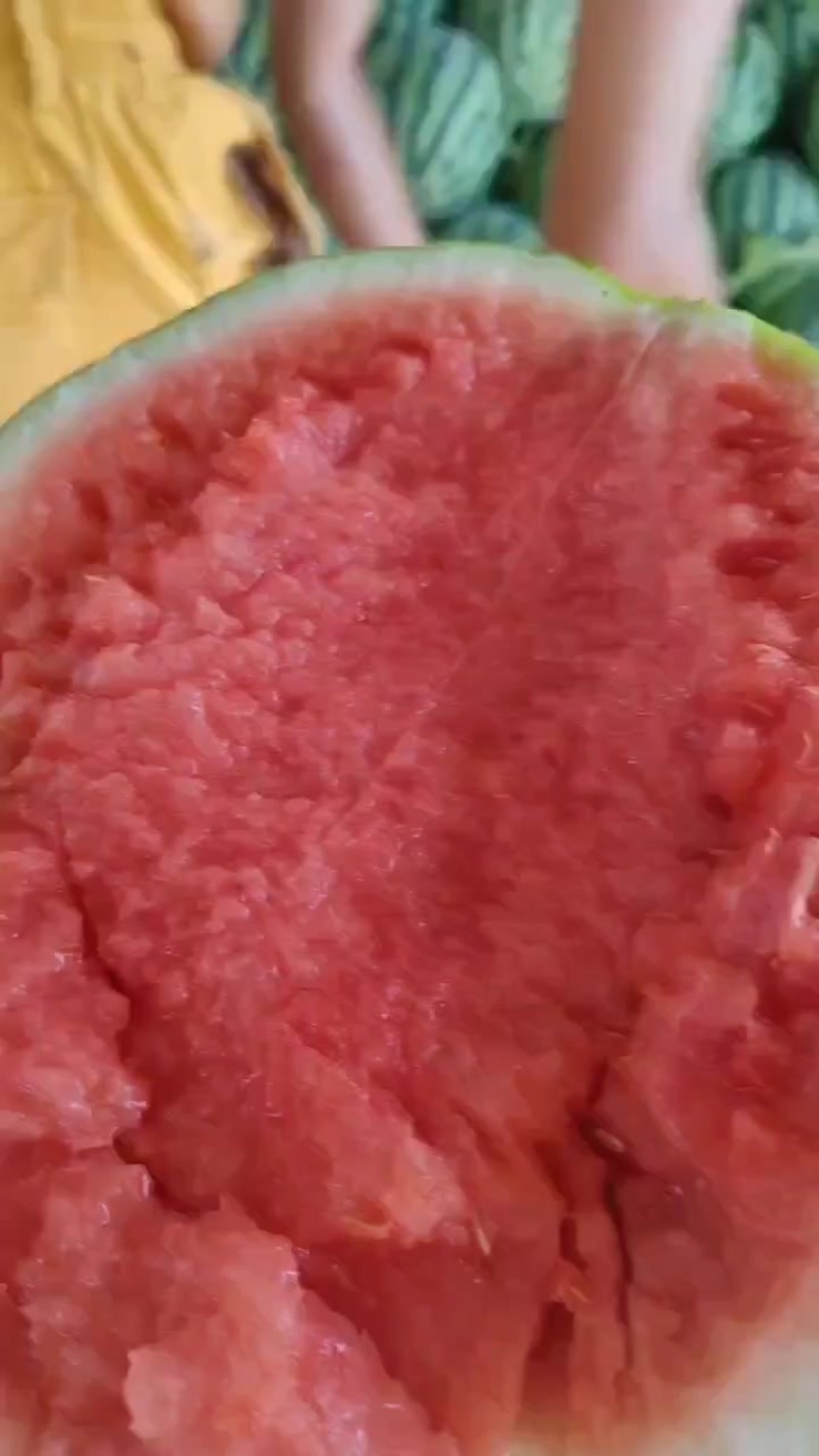 无籽西瓜
