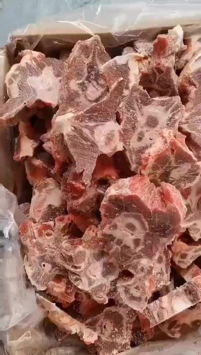 满肉羊蝎子