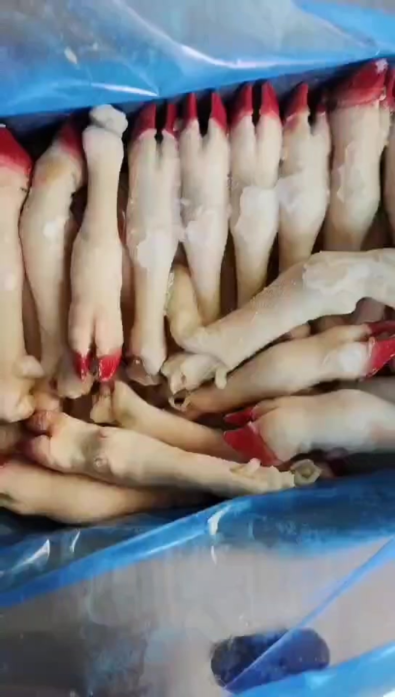 羊蹄