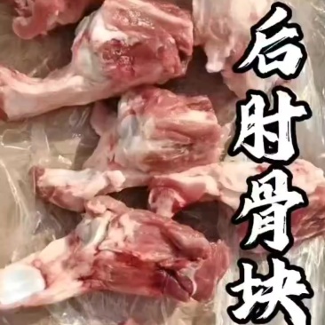 160后肘骨