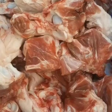 后筒骨尖