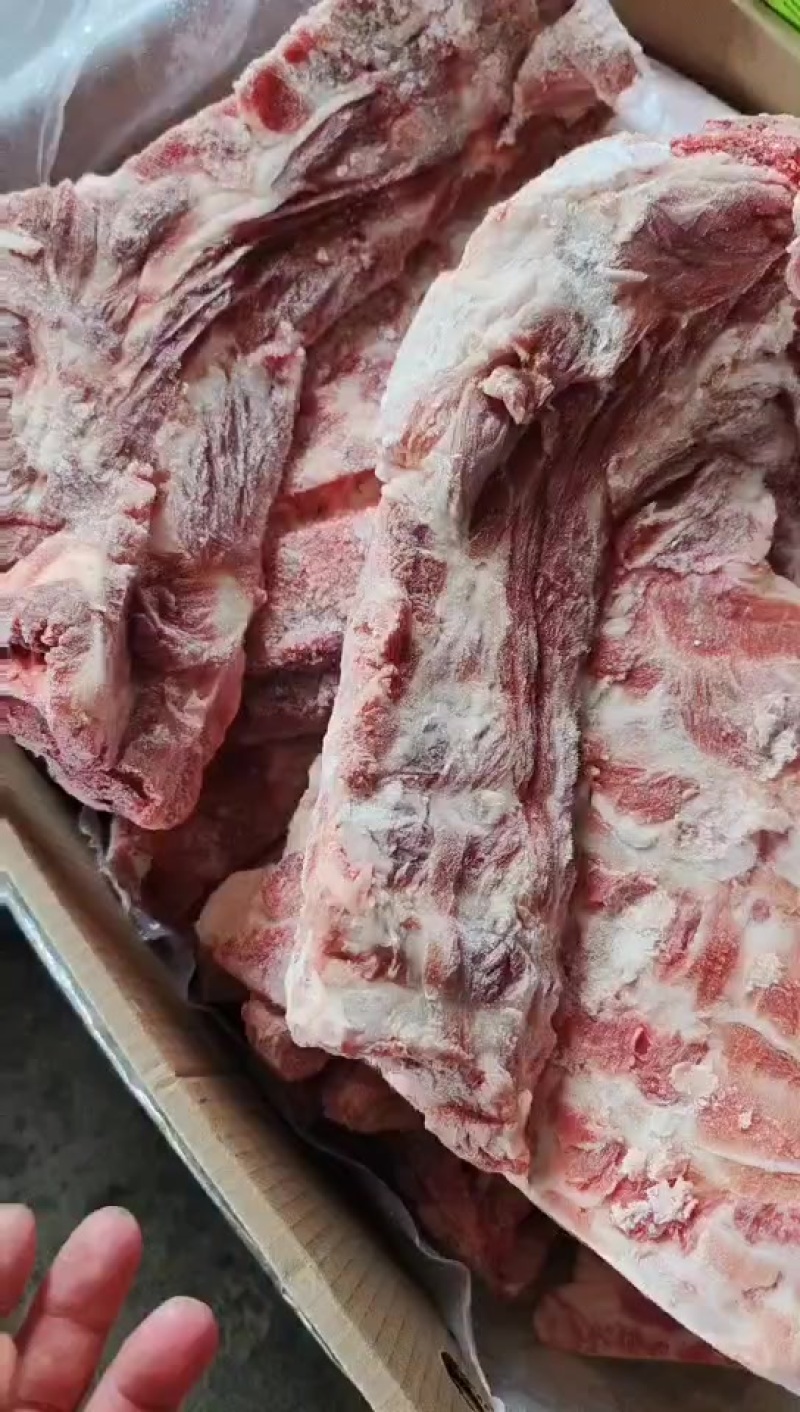 3237胫骨实拍