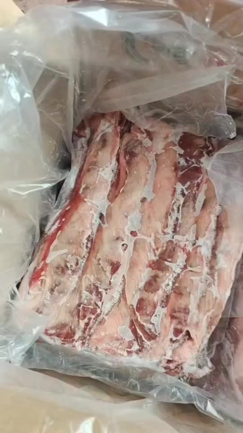 鸿谊油边实拍
