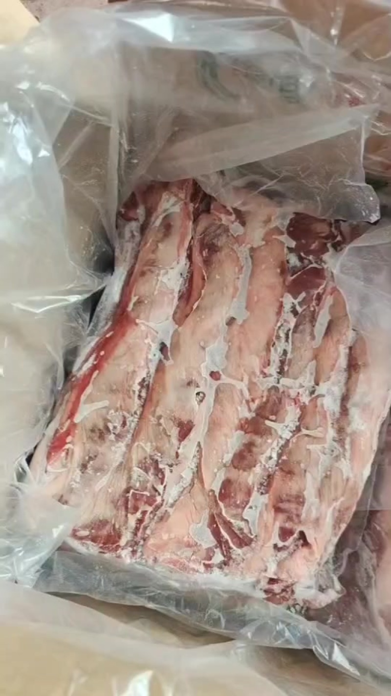 鸿谊油边实拍