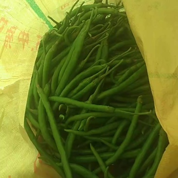 线椒