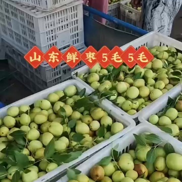 枣脆王