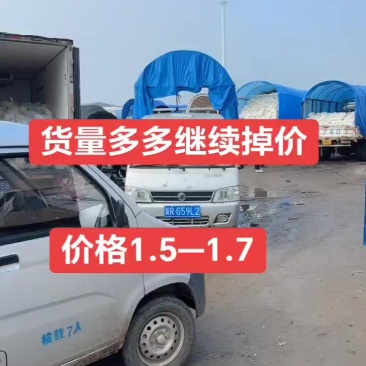 精品散花
