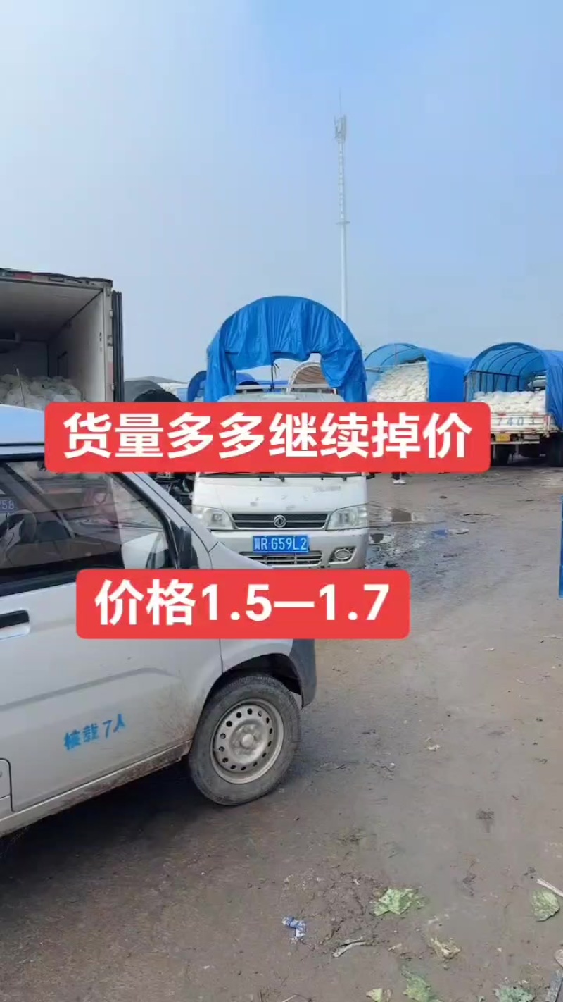 精品散花