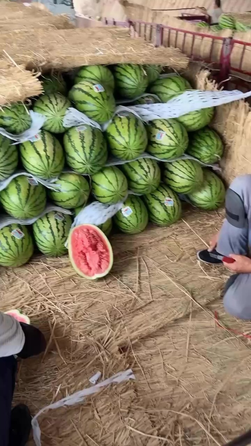 石头瓜