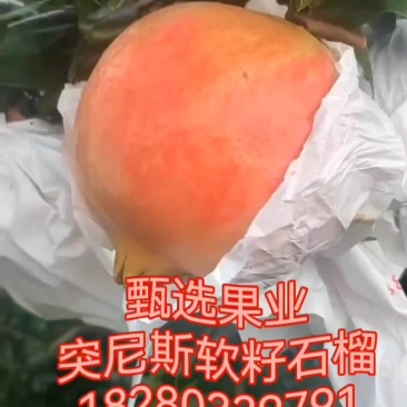 自有仓库在大马路边，过磅喊货都非常方便，有专门工人打包那些