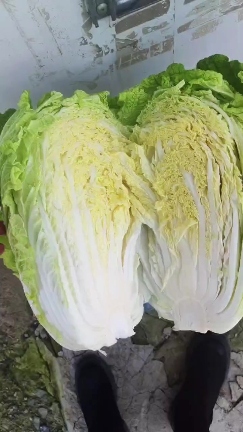 市场菜，需要的提前预定