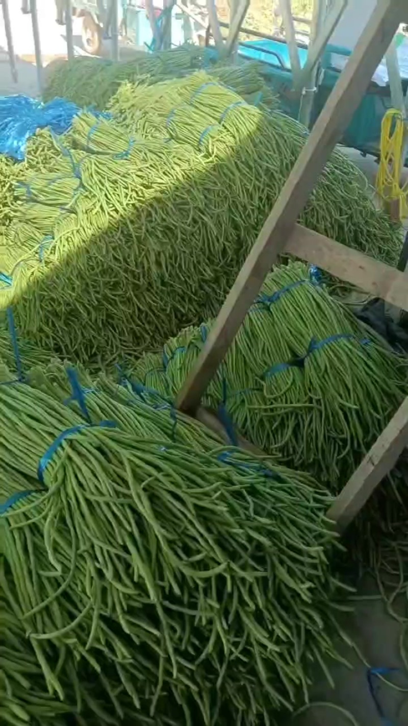豆角