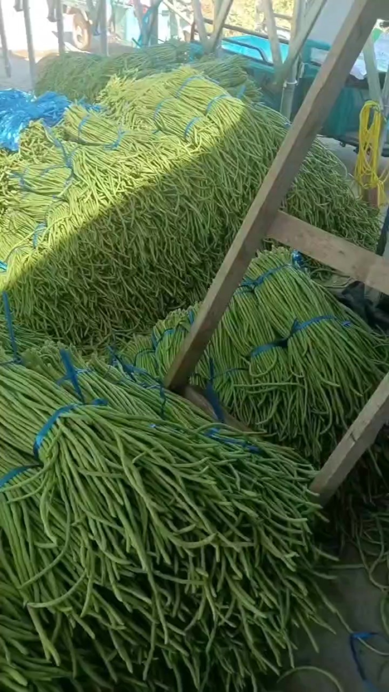 豆角