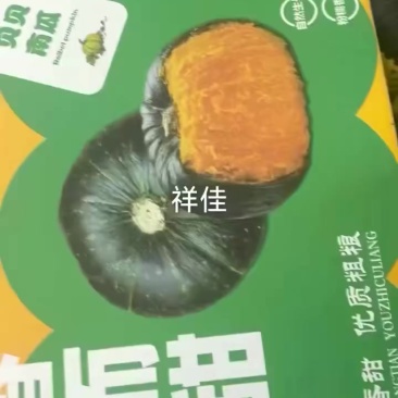 精品贝贝南瓜出口内销