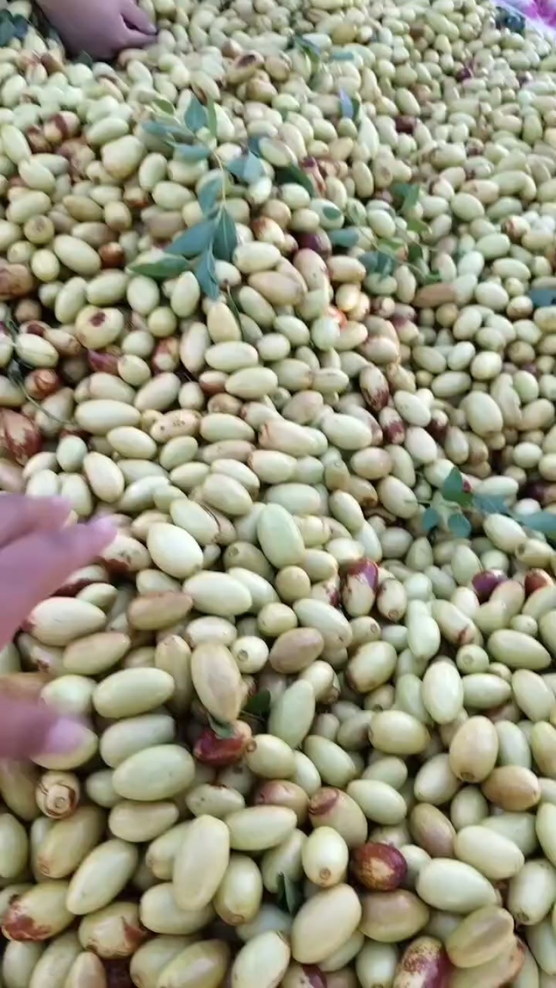 子弹头大量上市