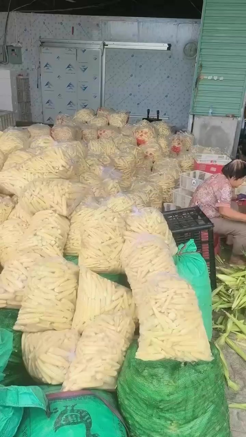 玉米笋