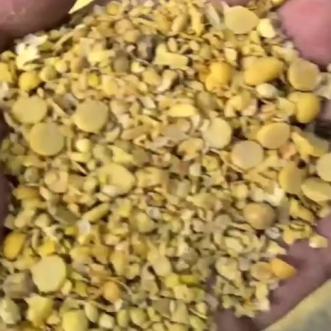 精品碎黄豆瓣可以用于上地施肥各种养殖做饲料