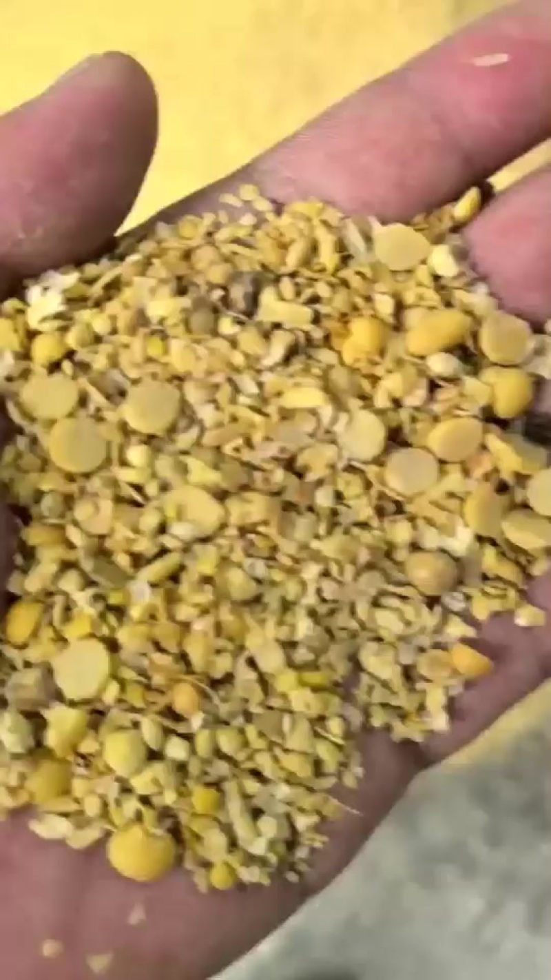 精品碎黄豆瓣可以用于上地施肥各种养殖做饲料