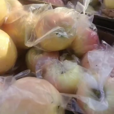 青红不分膜代嗄啦