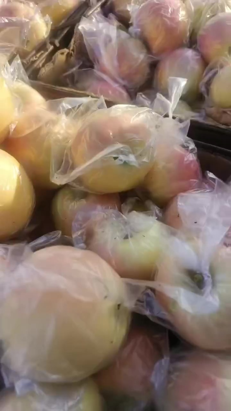 青红不分膜代嗄啦