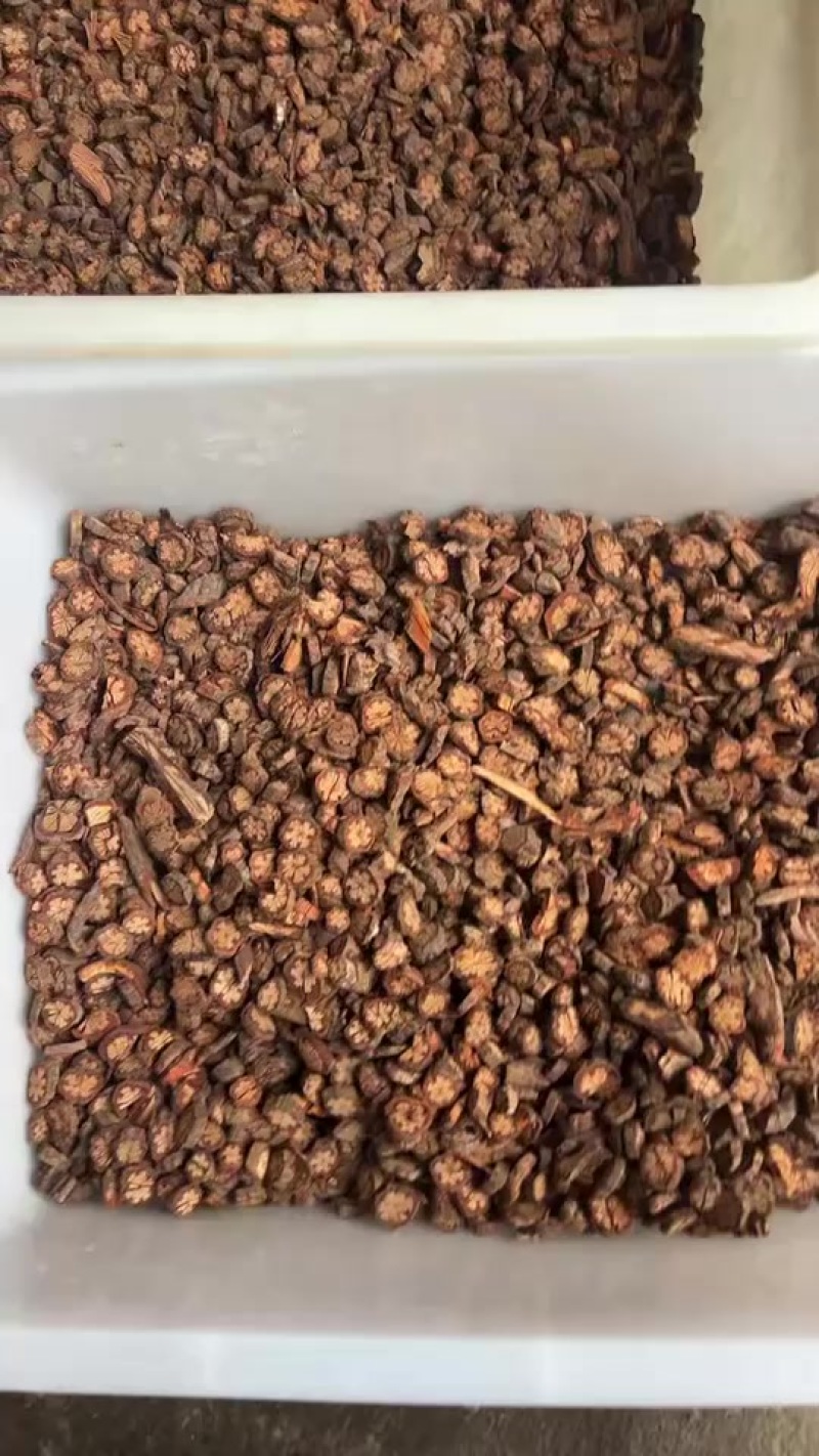 红藤中药材红藤片小血藤粉小血藤小血通血塞通